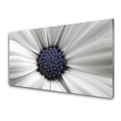 Tableaux sur verre acrylique Fleur floral blanc gris violet