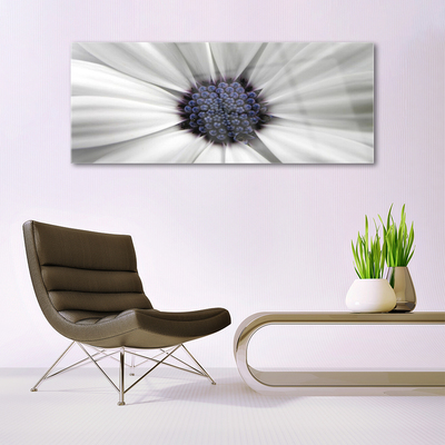Tableaux sur verre acrylique Fleur floral blanc gris violet