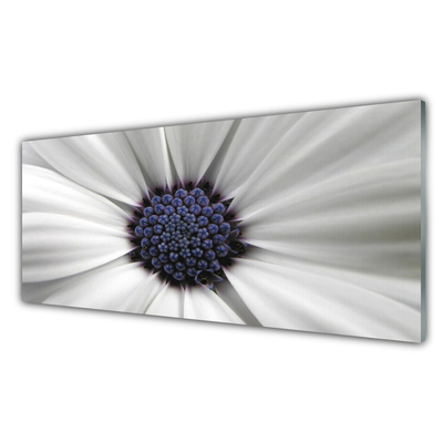 Tableaux sur verre acrylique Fleur floral blanc gris violet