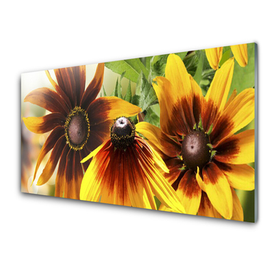 Tableaux sur verre acrylique Fleurs floral brun jaune