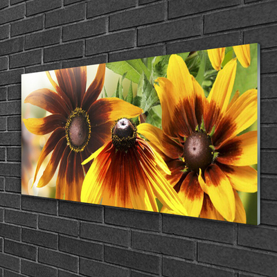 Tableaux sur verre acrylique Fleurs floral brun jaune