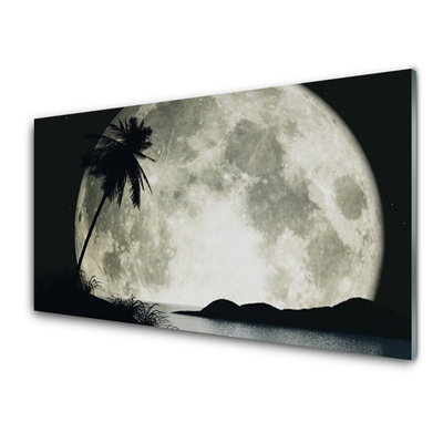 Tableaux sur verre acrylique Nuit lune palme paysage noir gris blanc