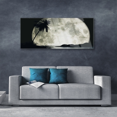 Tableaux sur verre acrylique Nuit lune palme paysage noir gris blanc