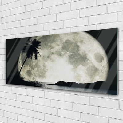 Tableaux sur verre acrylique Nuit lune palme paysage noir gris blanc