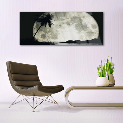 Tableaux sur verre acrylique Nuit lune palme paysage noir gris blanc