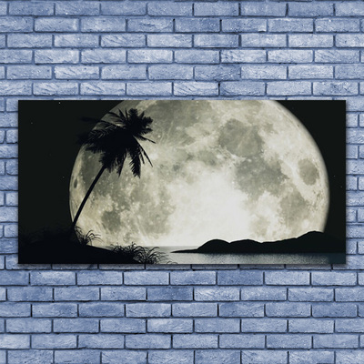 Tableaux sur verre acrylique Nuit lune palme paysage noir gris blanc