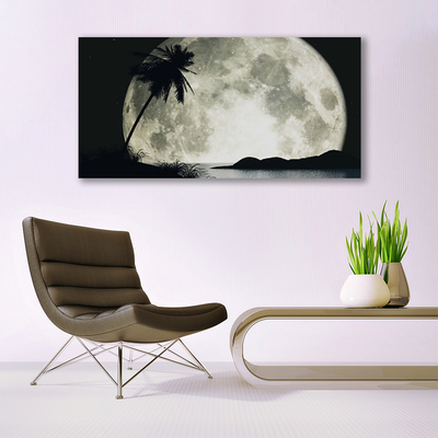 Tableaux sur verre acrylique Nuit lune palme paysage noir gris blanc