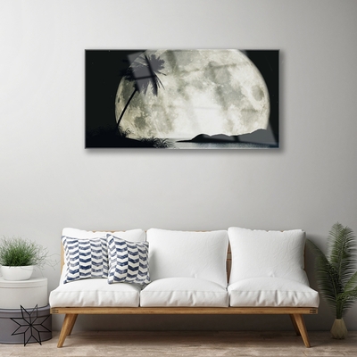 Tableaux sur verre acrylique Nuit lune palme paysage noir gris blanc