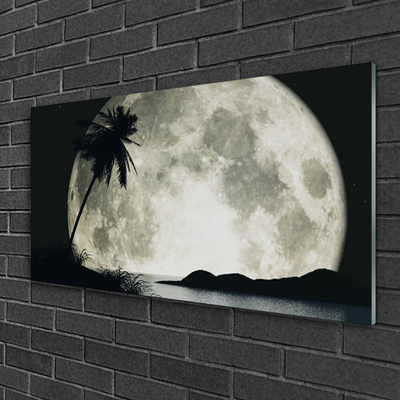 Tableaux sur verre acrylique Nuit lune palme paysage noir gris blanc