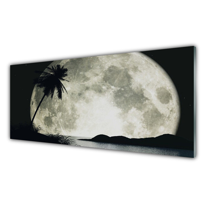 Tableaux sur verre acrylique Nuit lune palme paysage noir gris blanc