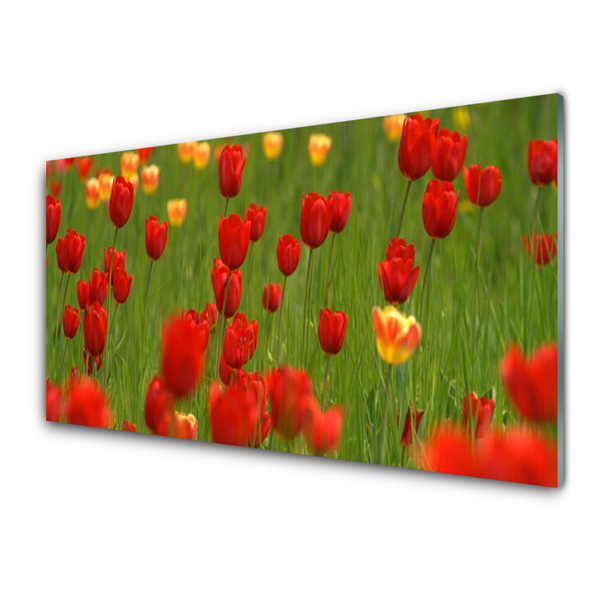 Tableaux sur verre acrylique Tulipes nature brun jaune vert