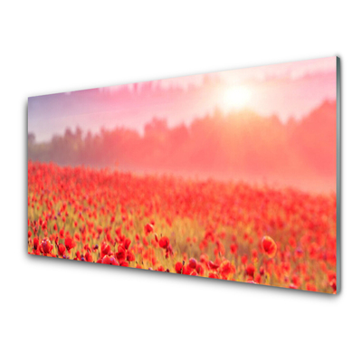 Tableaux sur verre acrylique Prairie fleurs nature rouge vert