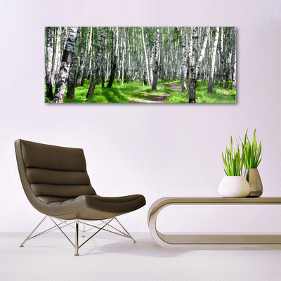 Tableaux sur verre acrylique Arbres herbe nature noir blanc vert
