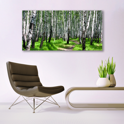 Tableaux sur verre acrylique Arbres herbe nature noir blanc vert