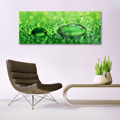 Tableaux sur verre acrylique Gouttes d'eau art vert