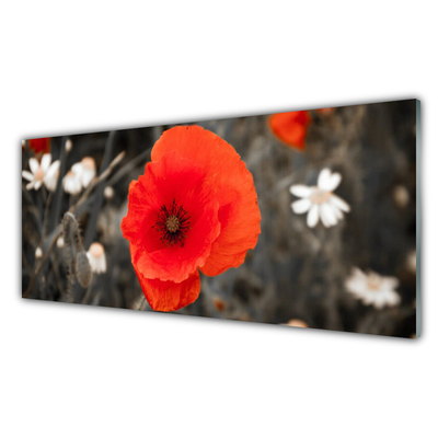 Tableaux sur verre acrylique Fleur floral rouge gris