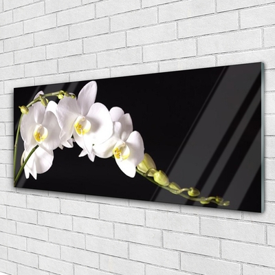 Tableaux sur verre acrylique Fleurs floral blanc