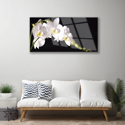 Tableaux sur verre acrylique Fleurs floral blanc