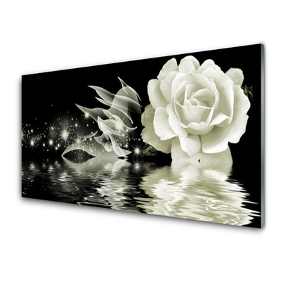Tableau en verre acrylique - Fleurs sauvages illustrées