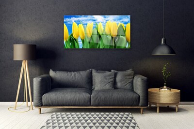 Tableaux sur verre acrylique Tulipes floral vert