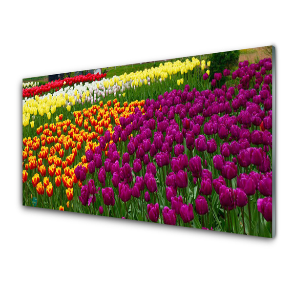 Tableaux sur verre acrylique Tulipes floral jaune rouge vert blanc