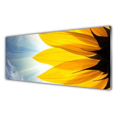 Tableaux sur verre acrylique Pétales floral bleu jaune
