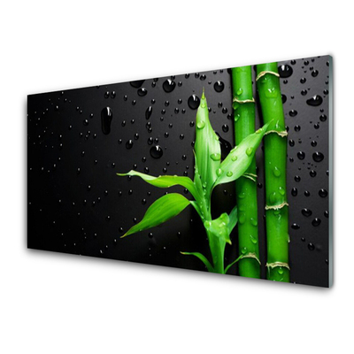 Tableaux sur verre acrylique Bambou feuilles floral vert noir