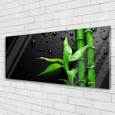 Tableaux sur verre acrylique Bambou feuilles floral vert noir
