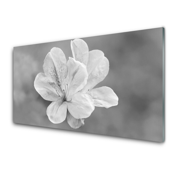 Tableaux sur verre acrylique Fleurs floral blanc gris