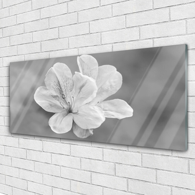 Tableaux sur verre acrylique Fleurs floral blanc gris