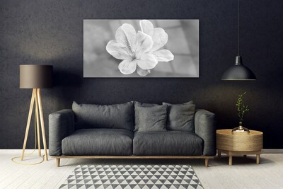 Tableaux sur verre acrylique Fleurs floral blanc gris