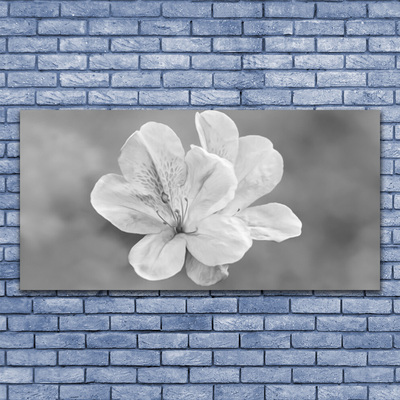 Tableaux sur verre acrylique Fleurs floral blanc gris