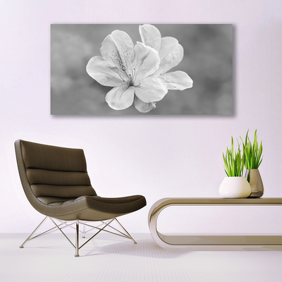 Tableaux sur verre acrylique Fleurs floral blanc gris