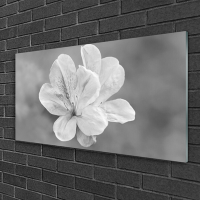 Tableaux sur verre acrylique Fleurs floral blanc gris