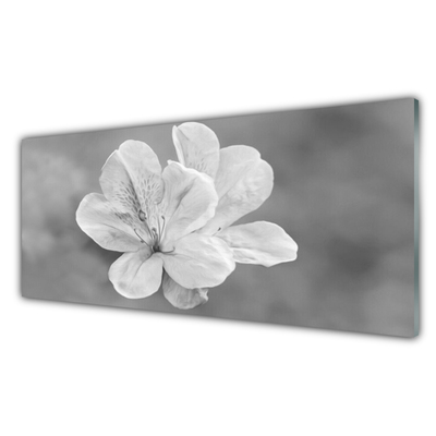 Tableaux sur verre acrylique Fleurs floral blanc gris