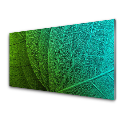 Tableaux sur verre acrylique Feuilles abstraites floral vert