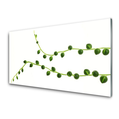 Tableaux sur verre acrylique Plante ornementale floral vert blanc