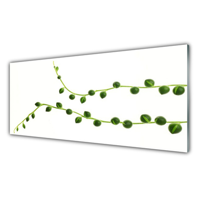 Tableaux sur verre acrylique Plante ornementale floral vert blanc