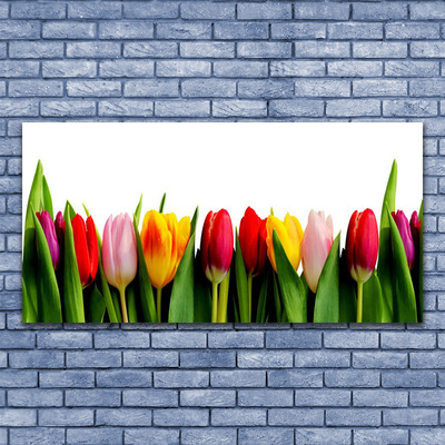 Tableaux sur verre acrylique Tulipes floral rouge rose jaune vert