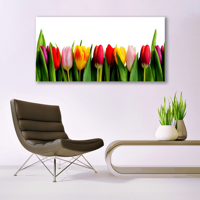 Tableaux sur verre acrylique Tulipes floral rouge rose jaune vert