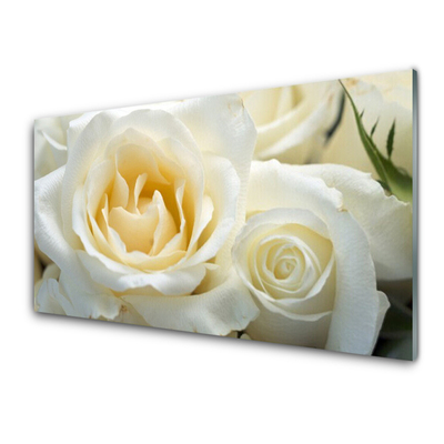 Tableaux sur verre acrylique Roses floral blanc vert