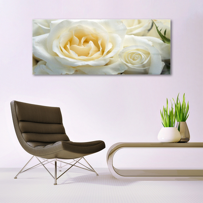 Tableaux sur verre acrylique Roses floral blanc vert