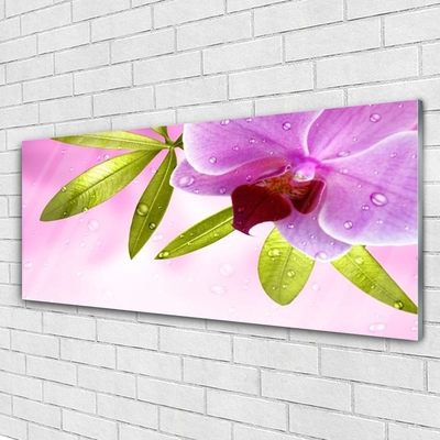 Tableaux sur verre acrylique Feuilles fleurs floral rose vert