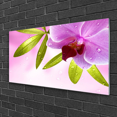 Tableaux sur verre acrylique Feuilles fleurs floral rose vert