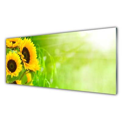 Tableaux sur verre acrylique Tournesol floral brun jaune vert