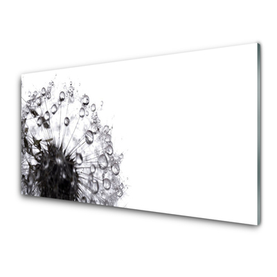 Tableaux sur verre acrylique Pissenlit floral gris blanc