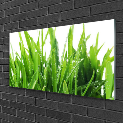 Tableaux sur verre acrylique Herbe floral vert