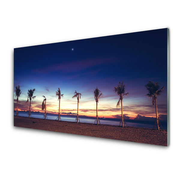 Tableaux sur verre acrylique Palmiers plage mer paysage brun bleu