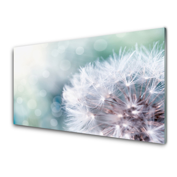 Tableaux sur verre acrylique Pissenlit floral blanc bleu