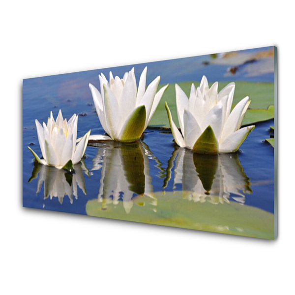 Tableaux sur verre acrylique Fleurs floral blanc vert